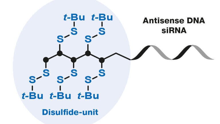 Separation of oligonucleotides modified with disulfides